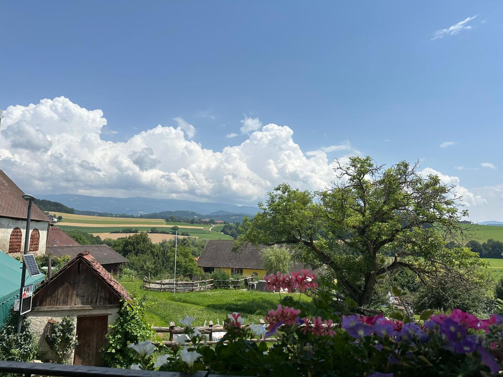 Gasthof Winkelwirt Althofen  Extérieur photo